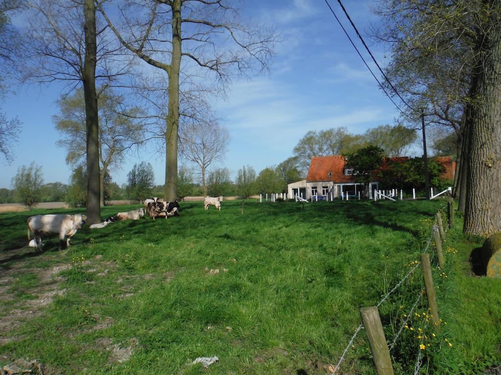 Hof Ter Langeleye Planke Villa Damme Oda fotoğraf